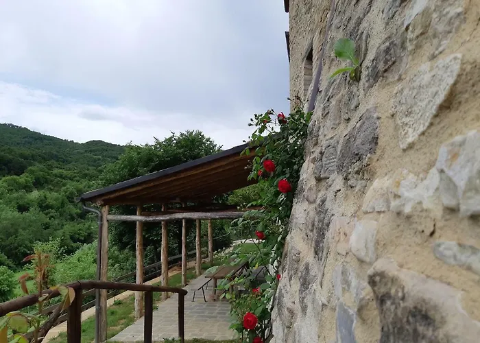 Talacchio * Città di Castello